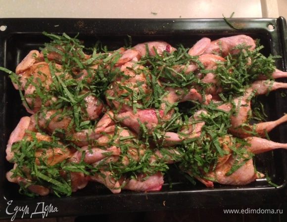 Довести куриный бульон до кипения. Нагреть гриль до среднего жара. Отделить листья мяты от веточек и мелко порубить. Посыпать перепелов мятой, полить медом и оливковым маслом. Запекать под грилем по 7-10 минут с каждой стороны, пока перепела не станут поджаристыми.