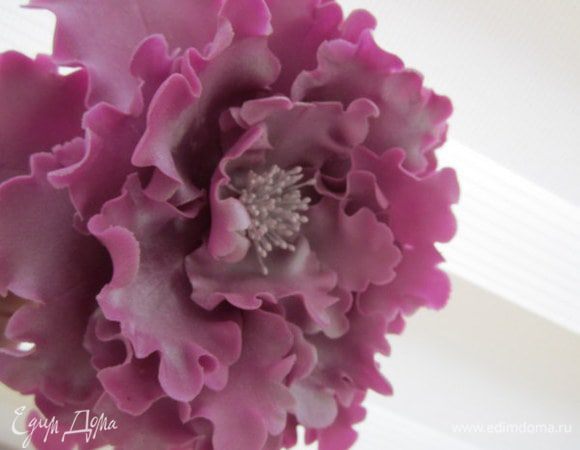 Цветок украсит верх торта. Цветок тоже сделанный из мастики.