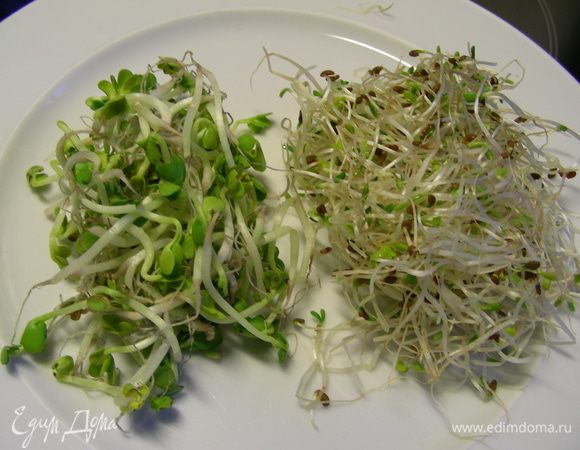 Мне в этот раз в магазине попались 2 вида проростков: слева - проростки редиса, она имеют некую горчинку, с лососем она хороша, на мой взгляд. А справа - проростки люцерны - альфафа.
