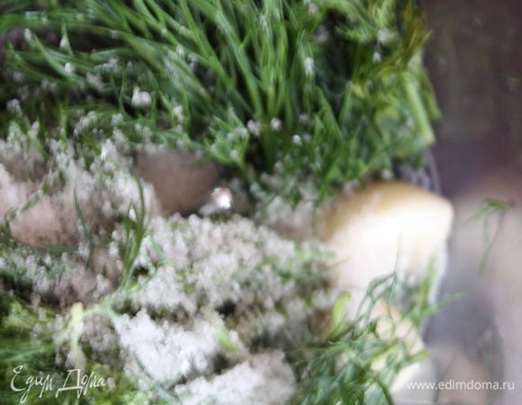 Чеснок,укроп,сахар и соль взбить в блендере.