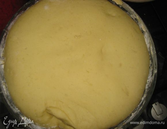 Перекладываем тесто в миску, накрываем полотенцем и ставим в теплое место. Тесто должно увеличиться примерно в 3 раза. На это может уйти 2-2,5 часа.