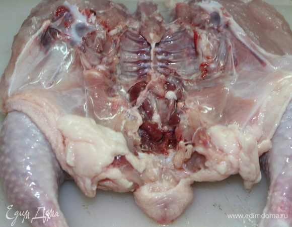 Каждого цыпленка разрезать вдоль по грудке и распять их, приплюснуть (можно аккуратно удалить выпирающие ребра и грудную кость, если очень большая)