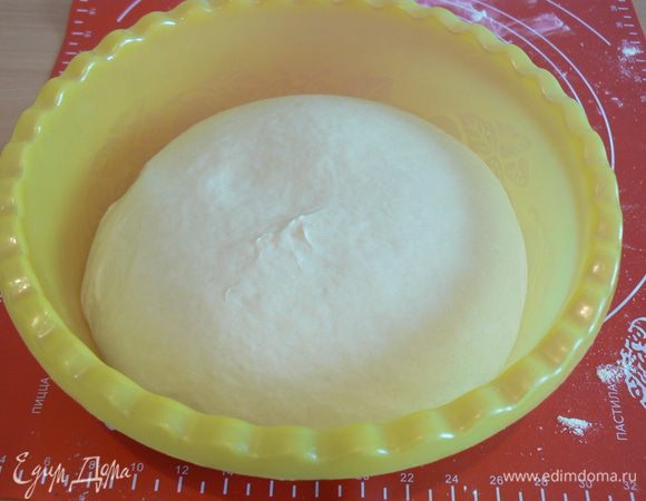 положить в миску смазанную растительным маслом,затяните пленкой и поставить в теплое место на 1-1.5 часа,с обминкой через 30 мин. после начала брожения