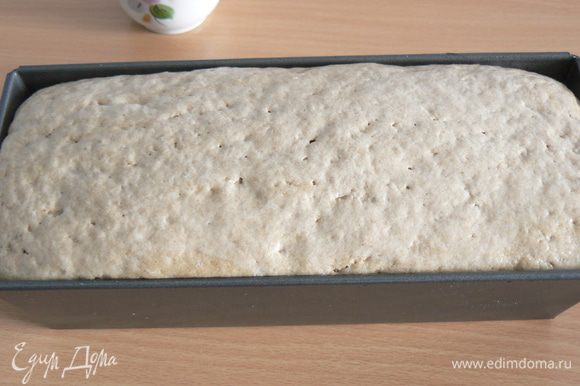 отправьте на расстойку 1-1,5 часа.Перед выпечкой смажьте хлеб теплой водой.