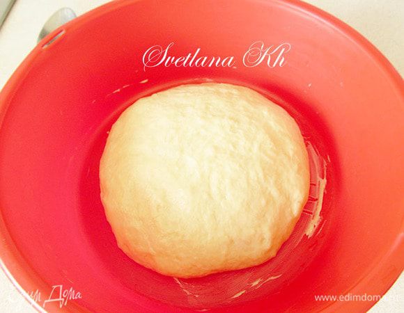 Замесить дрожжевое тесто. Вымесить его хорошо. Оно должно быть очень мягким, но если сильно липнет к рукам, то руки можно смазать растительным маслом и вымесить тесто до тех пор, пока не будет прилипания.Оставить подойти под пленкой.