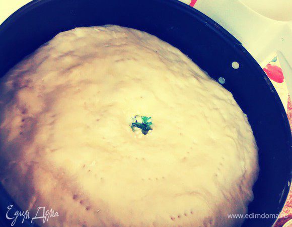 Вторую часть так же раскатать. Тестом накрыть начинку. Смазать желтком. Печь 20 минут при 200 гр. 