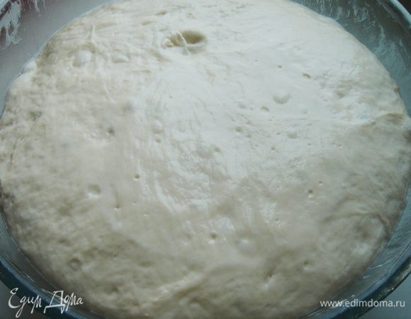 Через 6 часов тесто обмять, накрыть плёнкой и убрать в холодильник минимум на ночь. Хранить такое тесто можно 7 дней, добавляя по 200-250 г в свежее тесто, значительно уменьшая количество дрожжей.