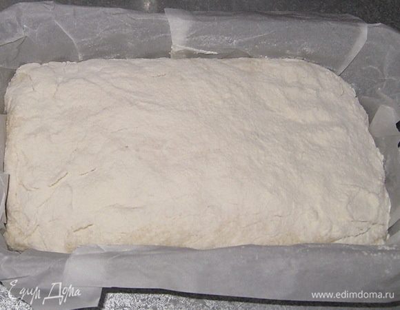 Аккуратно выложить тесто в форму. Присыпать через сито мукой. Поставить еще на 30-40 минут.