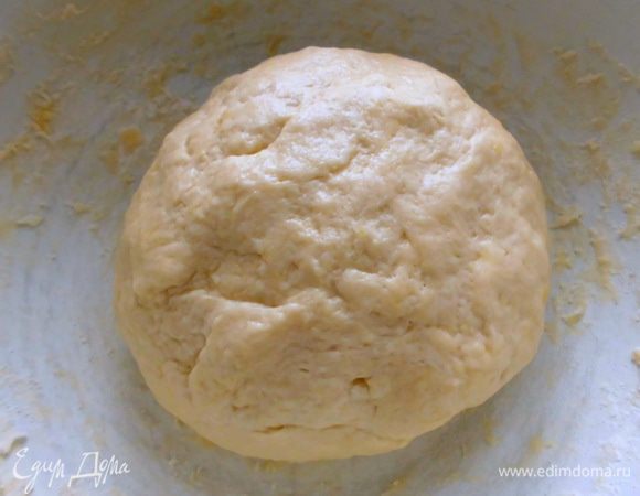 Замесить гладкое однородное тесто( мне понадобилось еще немного муки). Накрыть его кухонным полотенцем и оставить в теплом месте, чтобы оно увеличилось в 2 раза. 