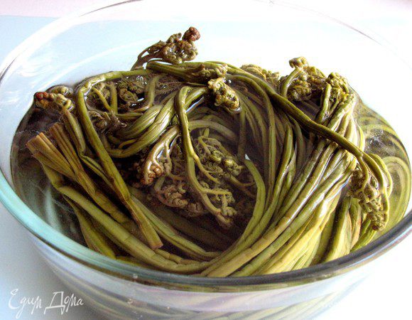 Папоротник предварительно вымочить в холодной воде (не менее 7 часов), несколько раз меняя воду.