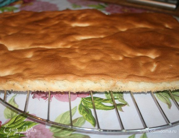 Испечь бисквит по этому рецепту http://www.edimdoma.ru/retsepty/31180-biskvit-sekret-prigotovleniya-pechenie-savoyardi,только в конце по желаняю добавить мак)Выполняя все рекомендации,получится замечательнейший бисквит.