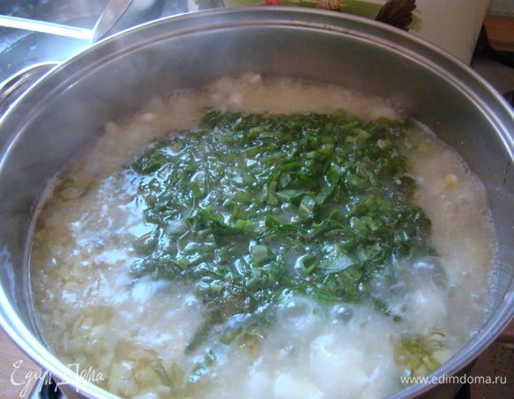 Добавляем немного сметаны, пробуем на соль, перец и кислоту. Щавель и йогурт могут быть разными, поэтому, если кислинки не хватает, добавьте щепотку лимонной кислоты