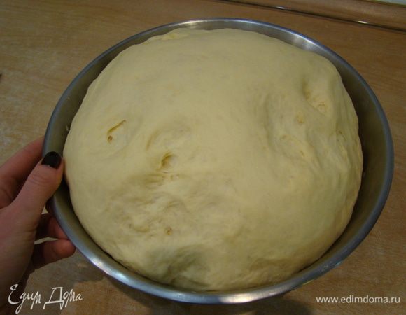 Вот так вырос мой колобок)) Раза в 3-4!