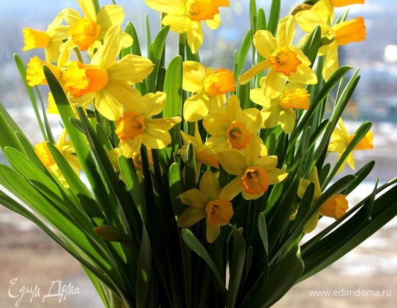 и цветочки)))))))))))))))