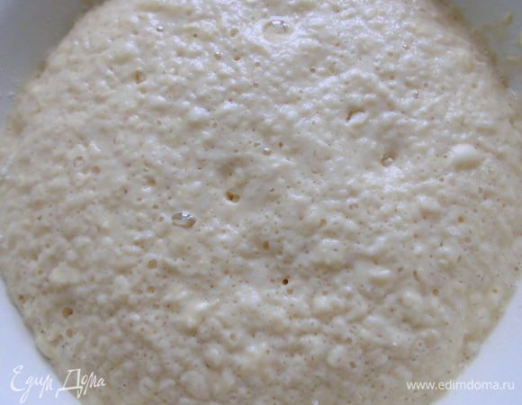 Вот как должна выглядеть опара.