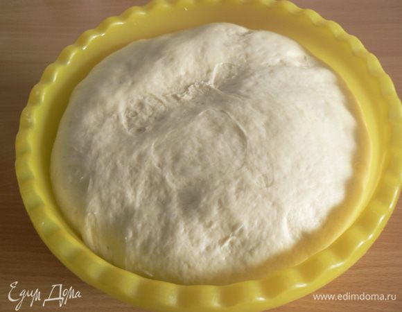 Положите тесто в миску .смазанную растительным маслом, затяните пленкой и оставить для брожжения на 1-2 часа, с обминкой через 30 мин