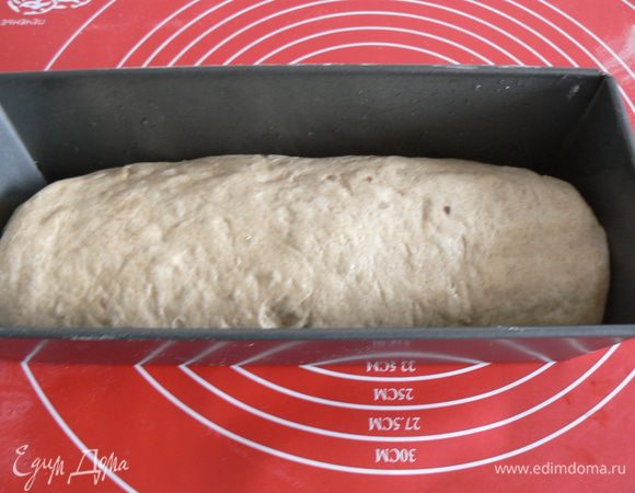 выброженное тесто расплющите в узкий пласт, сверните рулетом, уложите в смазанную форму. Расстойка 1,5-2 часа
