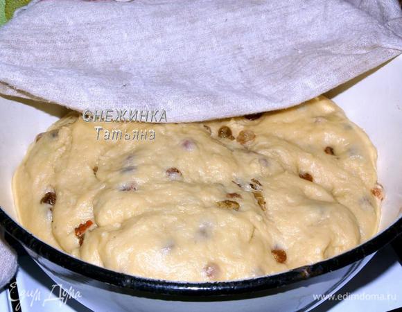 Через 1 час подъёма теста, обминаем его, добавляем изюм, вмешиваем его руками в тесто. Снова оставляем тесто подходить в тёплом месте, прикрыв полотенцем, на 2 часа. 