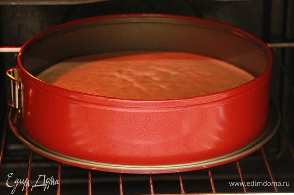 Выкладываем тесто в форму и выпекаем полчаса в духовке при 170 градусах. Готовый бисквит должен полностью остыть.