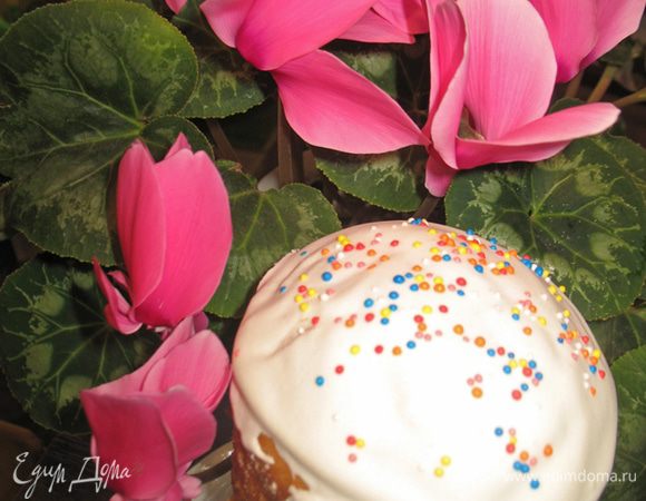 Пока Пасхи остывают готовим сахарно белковую глазурь. В сахарную пудру влить лимонный сок и яичный белок. Хорошо растереть деревянной ложкой или миксером до получения однородной массы. Обычно я взбиваю глазурь на паровой бане. 
Покрываем куличи глазурью  и посыпаем кондитерской посыпкой. 