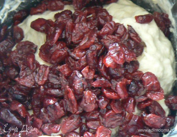 Ввести масло, опару, клюкву.