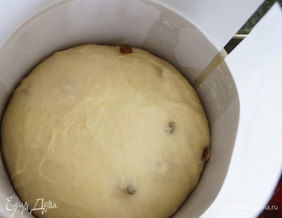 Формы для выпечки застелить бумагой и смазать маслом, выложить в них тесто так что бы оно занимало только четверть формы. Дать куличам расстояться и подняться в теплом мести как минимум в 2 раза.