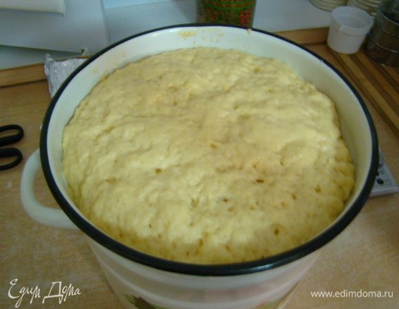 вымешиваем тесто, оставляем в теплом месте подходить