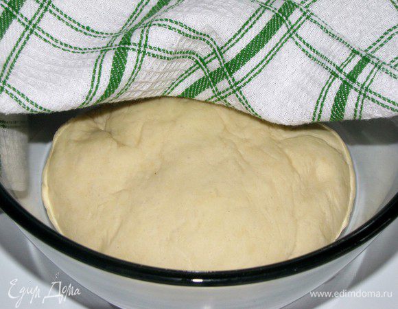 Положить тесто в смазанную маслом миску, накрыть пленкой и оставить в теплом месте на 1 час.