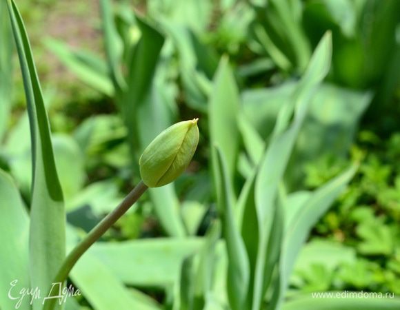 И с последним месяцем Весны вас!