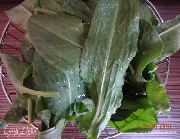 Щавель промыть, оторвать жесткие, длинные стебли, хорошо обсушить на полотенце.