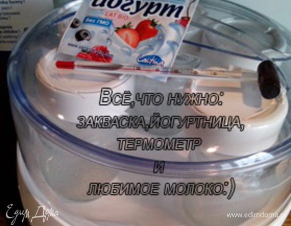 Всё что нужно-любимое молоко и закваска