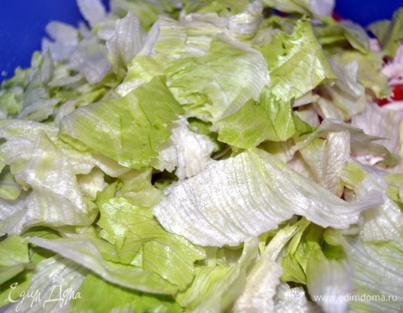 Листья салата нарвать произвольно.