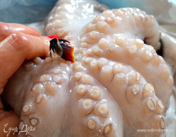 Помыть и почистить осьминога. В принципе дело это совсем не сложное... Надо промыть как следует осьминога под проточной водой, и слегка надрезать полость, в которой скрывается "клюв". Выдавить его, с усилием нажав со стороны головы. Вот и все! Еще раз хорошо вымыть... 