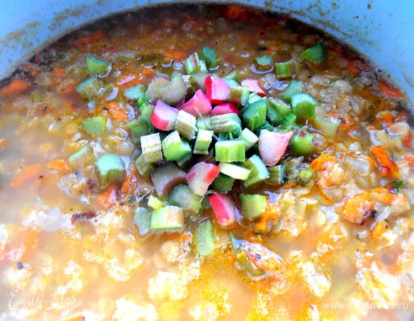 И добавляем в похлёбку...Варим ещё минут 10! Выключаем и даём настояться под крышкой несколько минут...Тогда ревень равномерно отдаст всю свою кислинку супу.