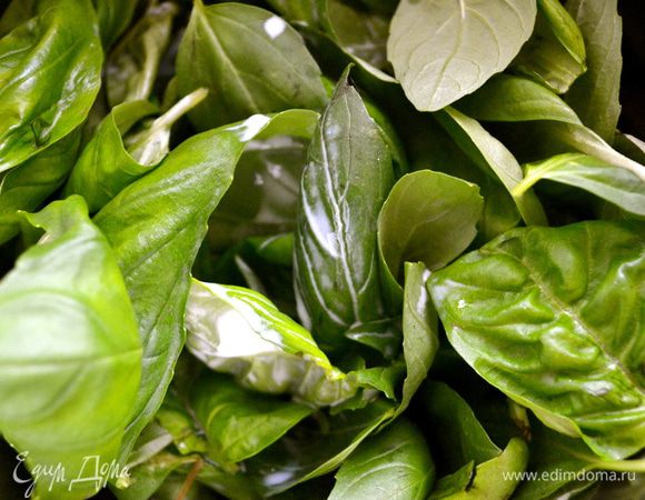 Листья базилика вымыть, обсушить. 60 г базилика (как в рецепте) это очень много листьев базилика! Практически, это один небольшой кустик... Взбить миксером (или в блендере) базилик с оставшимся молоком до состояния "кашицы"...