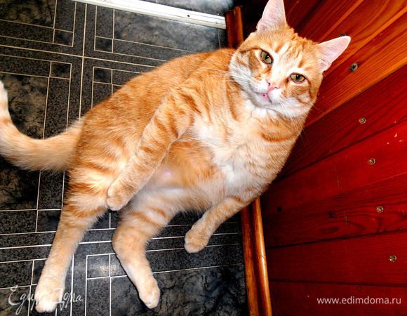 А вот товарищ..., который помогал чистить рыбку!!!