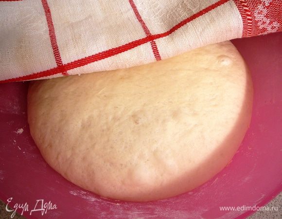 Приготовить тесто. Размять дрожжи, залить небольшим количеством воды, добавить 1 ст.л. муки и оставить на 15 минут. В глубокую миску просеять муку с солью, добавить опару, влить оставшуюся воду и замесить тесто. В самом конце добавить оливковое масло. Тесто накрыть и оставить подходить на 1,5 часа.