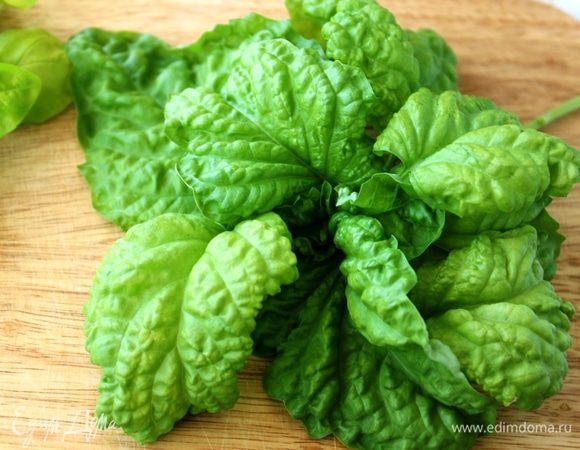 Наконец, мой базилик вырос настолько, что я могу использовать его не только для украшения, но и для приготовления))))))))))))))))) Вот это - один кустик неизвестного мне сорта... Он был в составе смеси базилика... Его я пустила на приготовление базиликового крема.