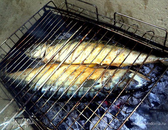 Рыбу почистить от внутренностей и жабер, хорошо промыть. Посолить и поперчить рыбу по вкусу, посыпать специями для рыбы внутри и снаружи, взбрызнуть соком лимона. В брюшко положить по 2 пластинки лимона и мелко нарезанную петрушку. Выложить рыбу на смазанную растительным маслом решетку и поместить на мангал над тлеющими углями.