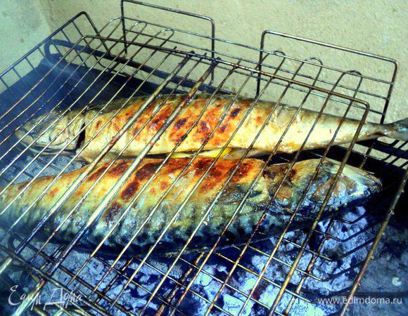 Смешать 0.5 стакана темного пива (остальное пиво прекрасно подойдет к уже готовой рыбе!) и оливковое масло. Смазывать этой смесью рыбу как можно чаще, периодически переворачивая. Готовить примерно 10-15 минут.