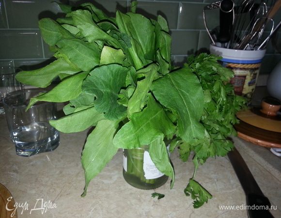 Щавель промыть и нарезать