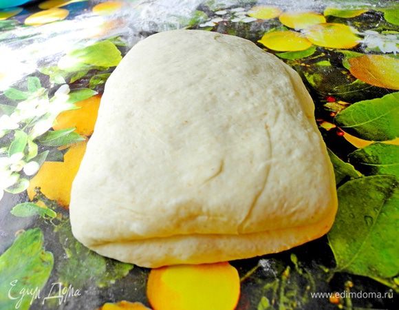 Разворачиваем тесто на 90 градусов и еще раз складываем вдвое.Выкладываем тесто на рабочую поверхность, посыпанную мукой, накрываем полотенцем  и оставляем на 5-10 минут.

Из этого количества теста можно сделать 2 больших фокаччи или несколько маленьких. Я разделила тесто на 2 части, одну убрала в холодильник (тесто прекрасно хранится в холодильнике 1-2 дня), а из второй сформировала 2 фокаччи.