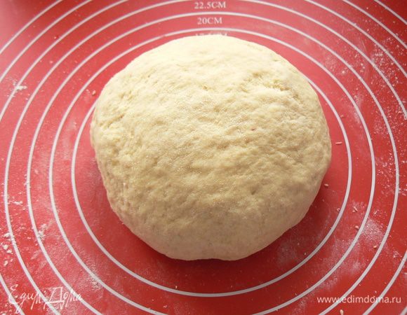 тесто должно получиться эластичным и мягким. Тесто положить в смазанную маслом миску и поставить в теплое место примерно на 1 час.
