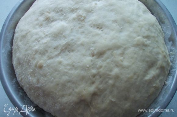 Положить тесто в миску и накрыть влажным полотенцем. Поставить в теплой место на час, тесто должно подойти в несколько раз.