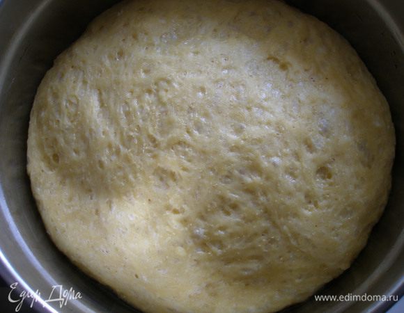 Вот так поднялось тесто за 1ч.45 мин.