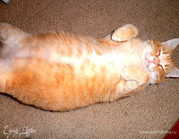 Вот так мы спим жарким летним днём)))