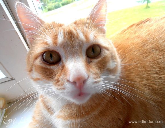 Вы на рыбку? Заходите)))