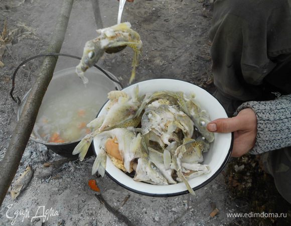 Вынимаем рыбу. Приправляем по вкусу специями. Уха готова. 