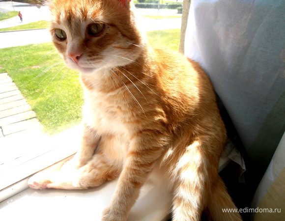 И что там мама делает???)))