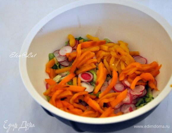 Болгарский перец запечь в духовке до черной шкурки, положить в миску и накрыть пакетом, дать постоять и затем снять шкурку. Перец порезать соломкой. Редис нарезать тонкими кружочками. Соломкой нарезать огурчик.